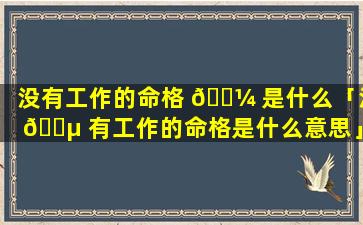 没有工作的命格 🌼 是什么「没 🐵 有工作的命格是什么意思」